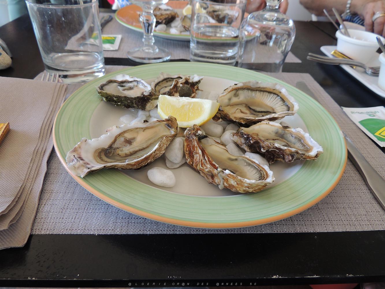 2019 06 01 LA SEYNE SUR MER A.G DE LA SEPIA FEDERATION NATIONALE (447).JPG -           